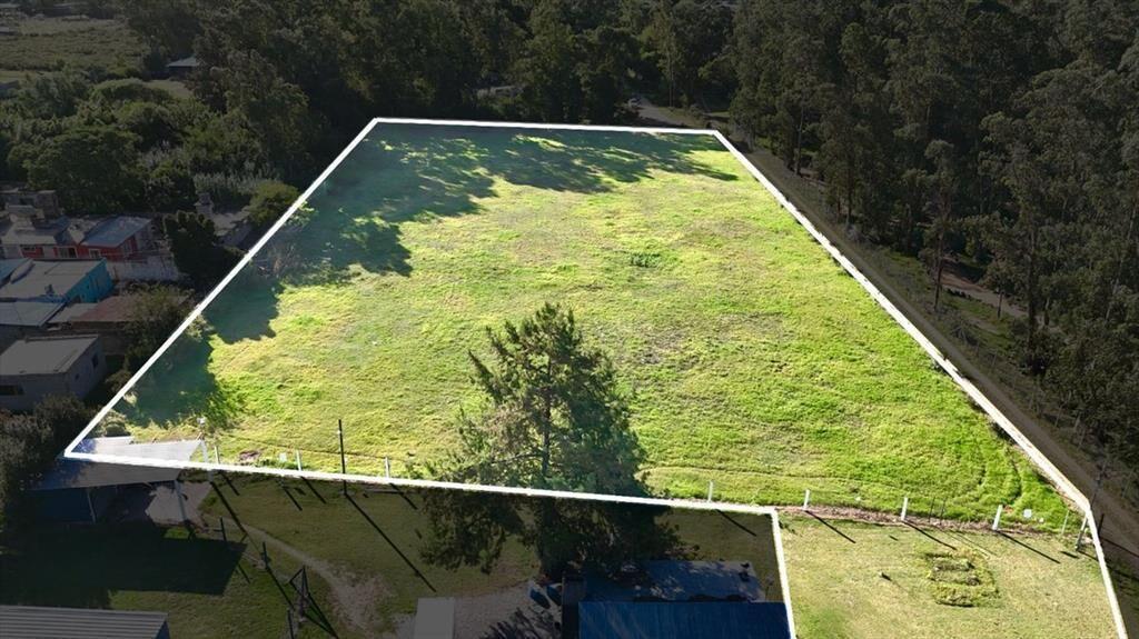 Vendo Financio PermutoTerreno 6.000 m2 Ruta 8