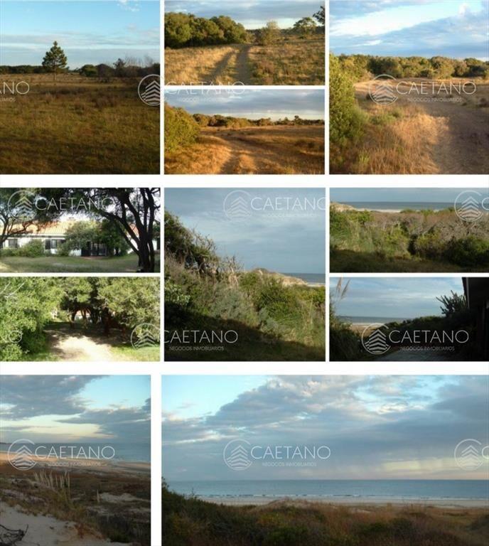 Venta campo 117 hectáreas sobre río de la plata