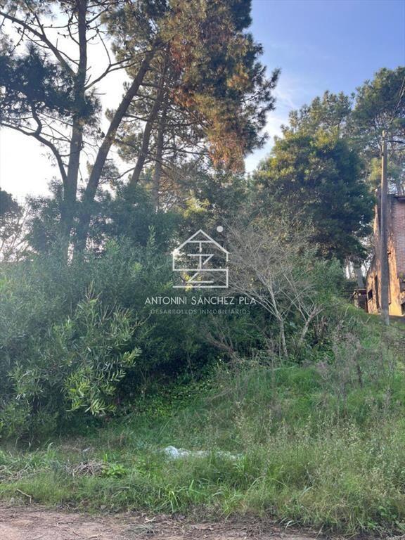 Lindo lote en venta en Pinares apto para