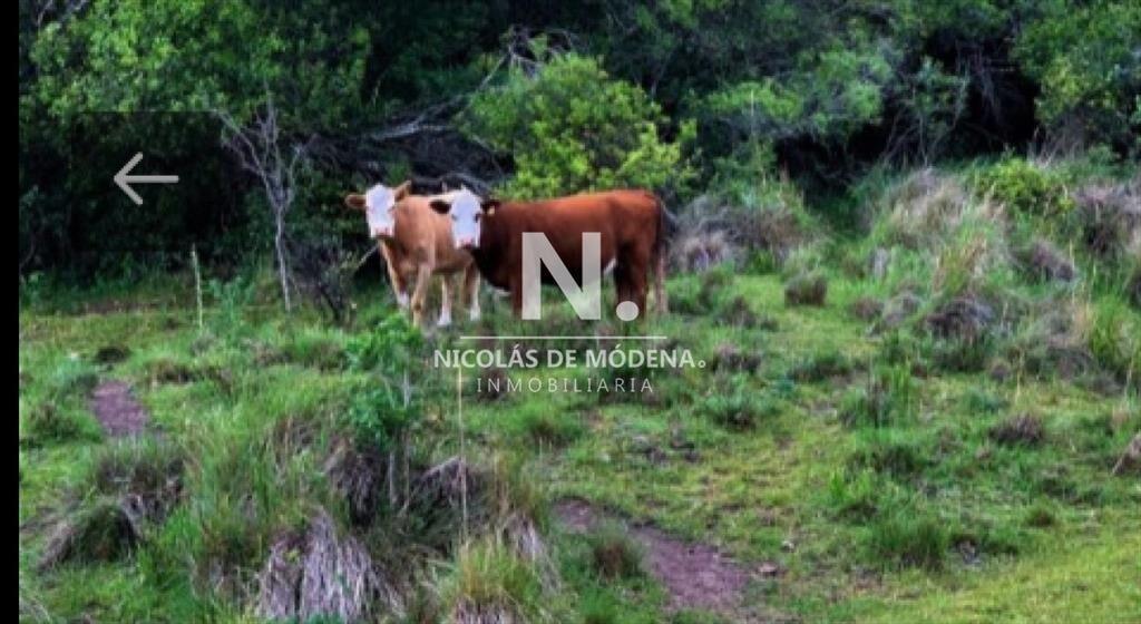 Campo en Maldonado , Aigua, 39 Hectáreas