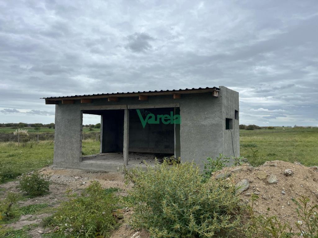 Chacra 3 has.sobre Ruta 11 km.160