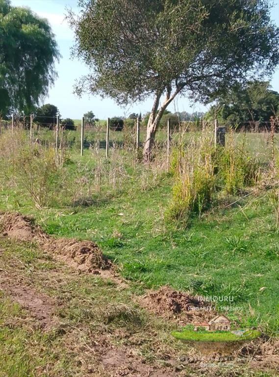 VENTA de terreno en 25 de mayo (Florida)