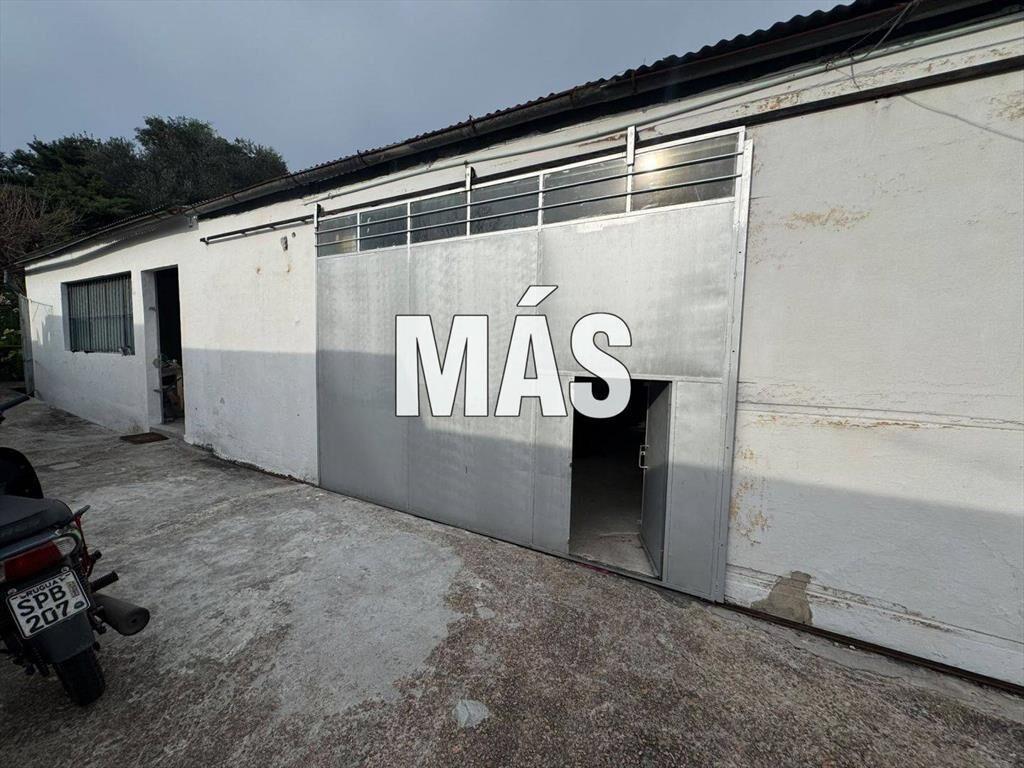 Apartamento + Galpón Venta Cerrito Montevideo iMas.uy LM...