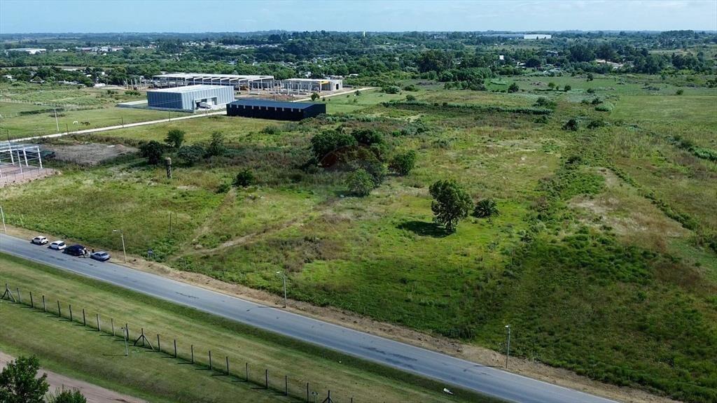 VENTA LOTE TERRENO 4HA. CAMINO DE LOS AROMOS