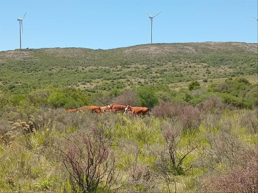 CAMPO EN VENTA - SIERRAS DEL CARAPE - MALDONADO