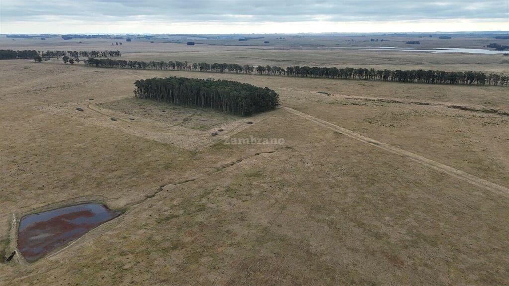 Estancia Ganadera Agrícola 1700 ha en Treinta y Tres