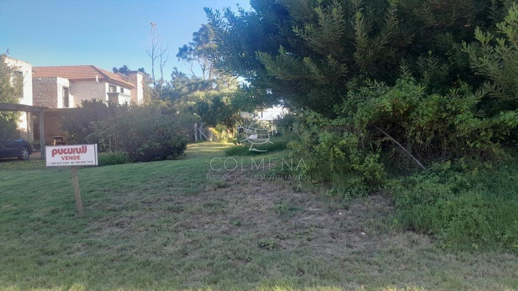 Terreno en Punta Ballena, Tio Tom