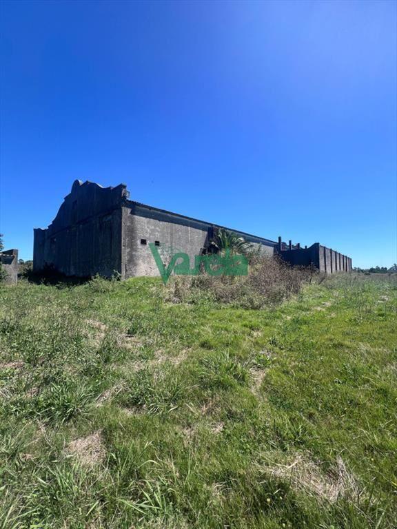 Venta Gran Terreno Con Galpon Sobre Mendoza Ideal