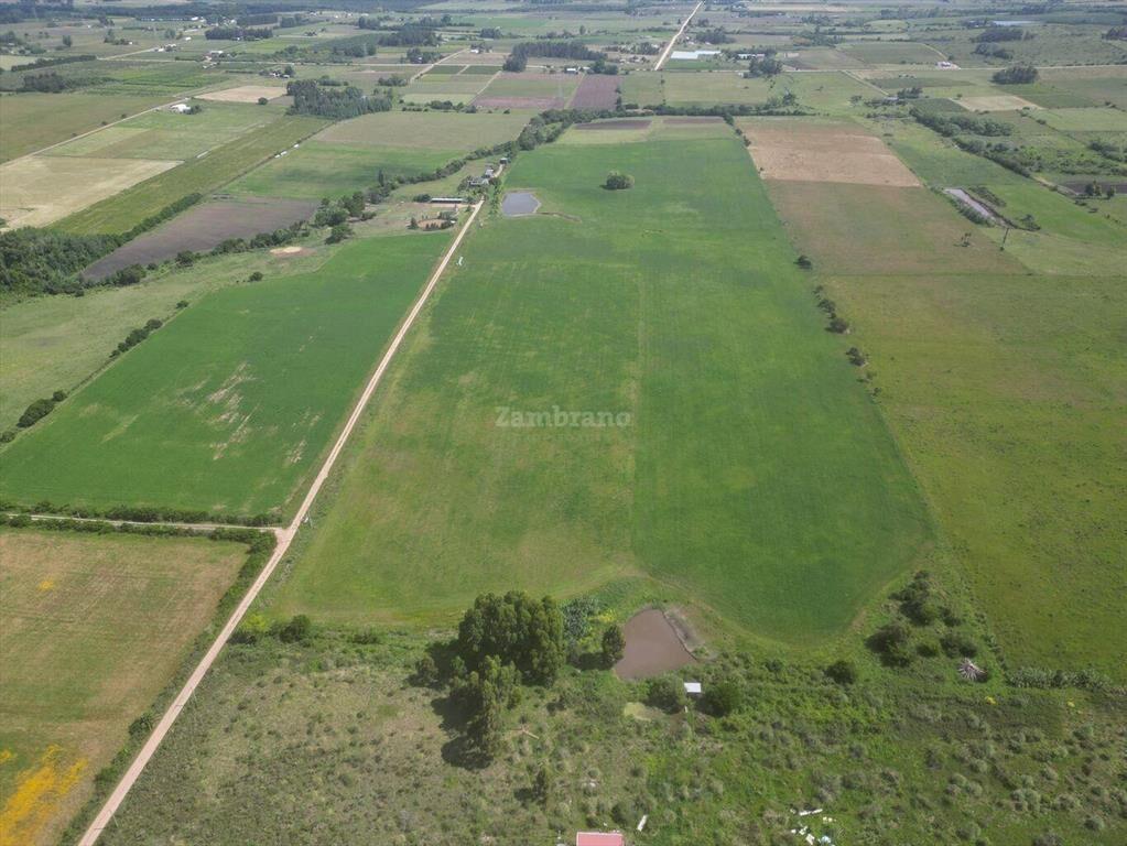 Haras I Canelones I Ha: 33. IC:233.