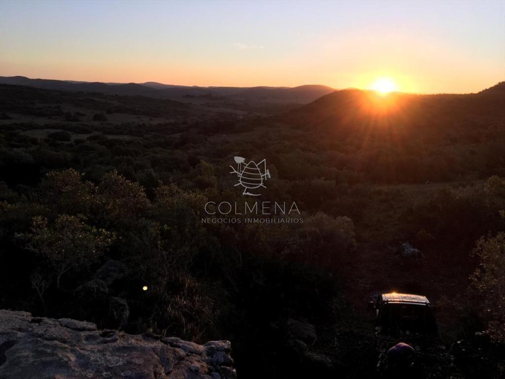 Campo 5 has con 333 m2 en paraje La Coronilla