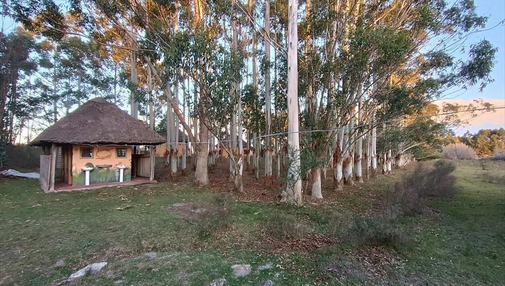 Venta - Campo de 5,6 hectáreas - A 8 km de Atlantida