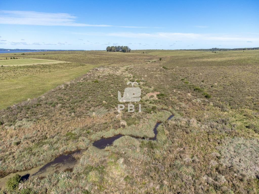 Chacra en venta en Laguna del Sauce, Punta  - Ref