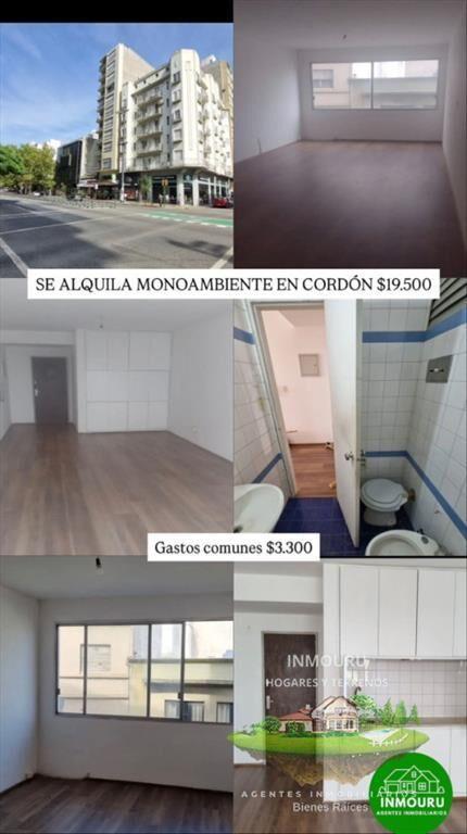 Se alquila monoambiente en zona Cordón