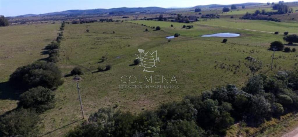 Campo en Zanja Chavez con costa de arroyo, caña