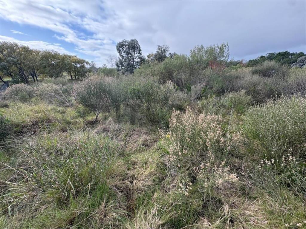 venta de terreno en Chacras del Pinar, Punta Ballena