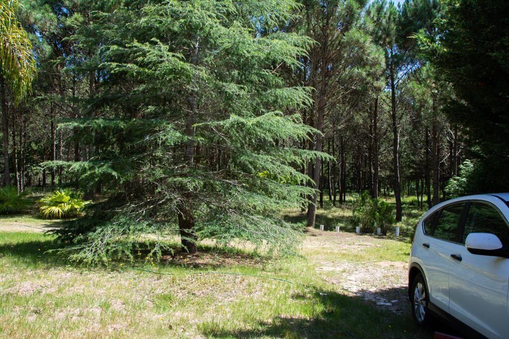 Venta de Lote de 10 Hectáreas sobre Ruta10 cerca de Valizas