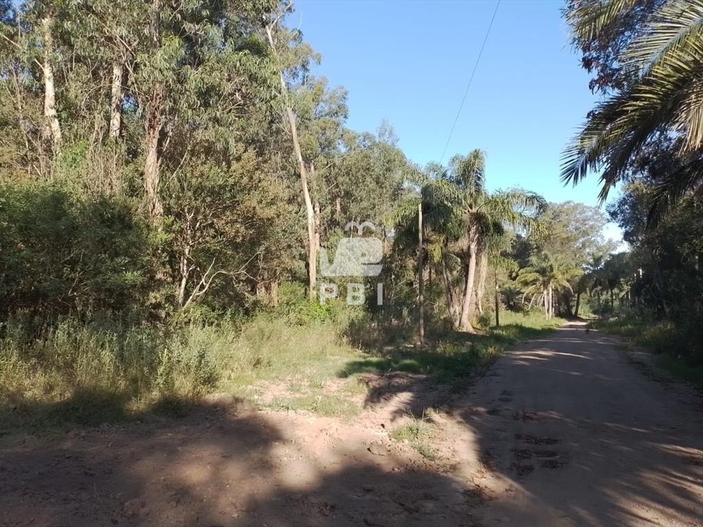 Venta de lote esquinero en Sauce de Portezuelo - Ref : PBI2