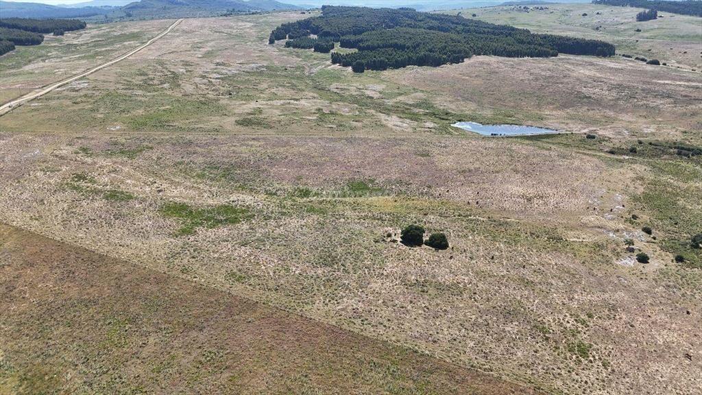 Campo Ganadero en Maldonado