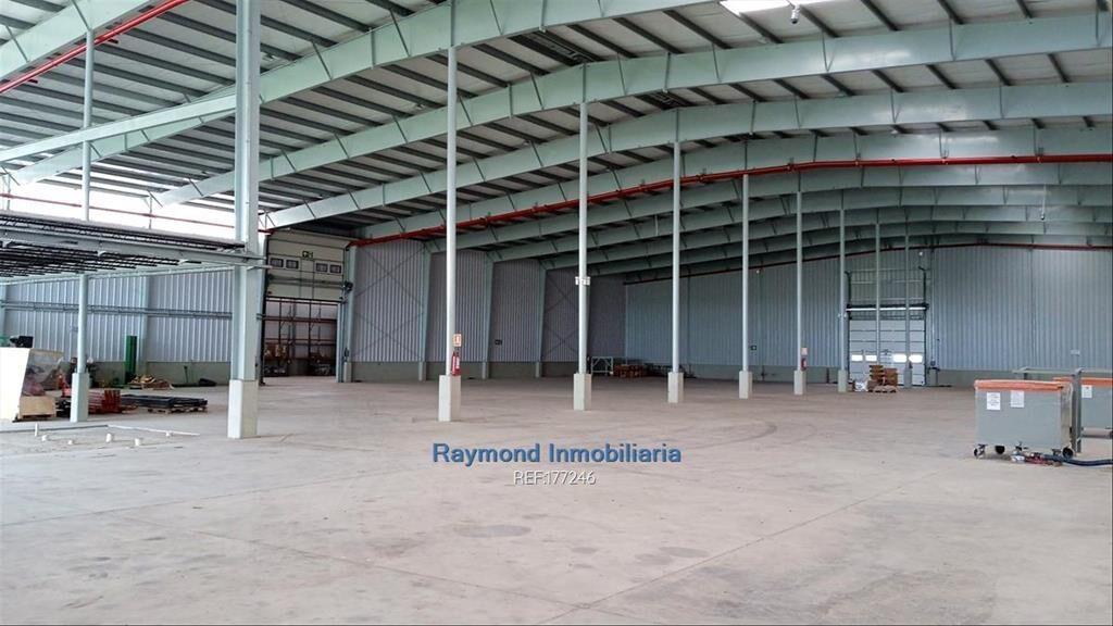 Alquiler Local 5560m2 edif. 5 has de terreno. San José