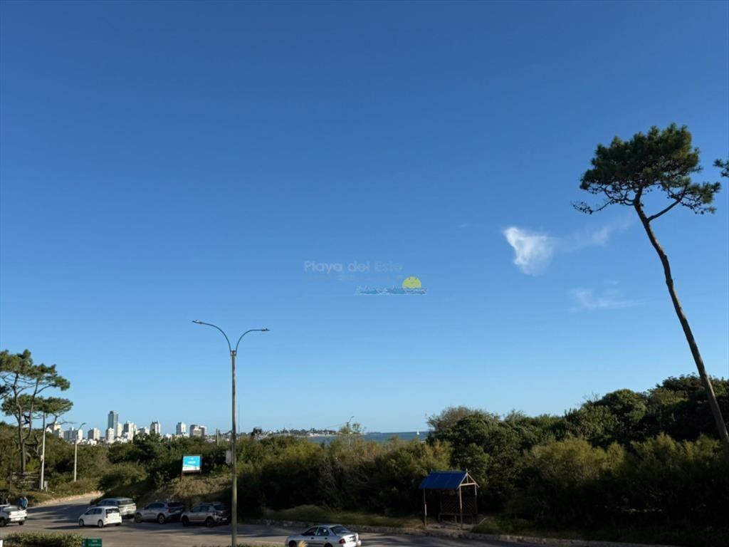 Apartamento en venta de 1 dormitorio en Punta del