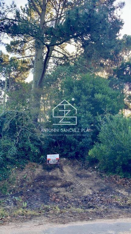 Lindo lote en venta en Pinares apto para