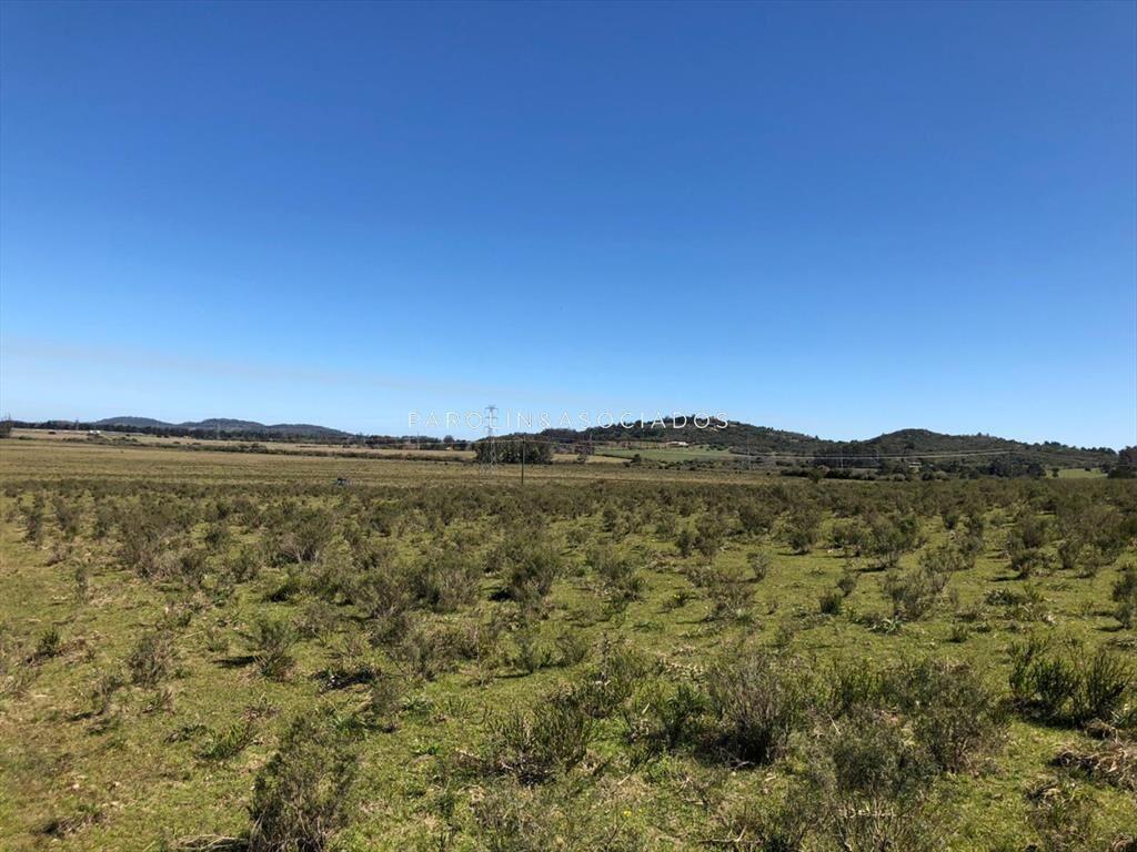 Campo en venta excelente lugar