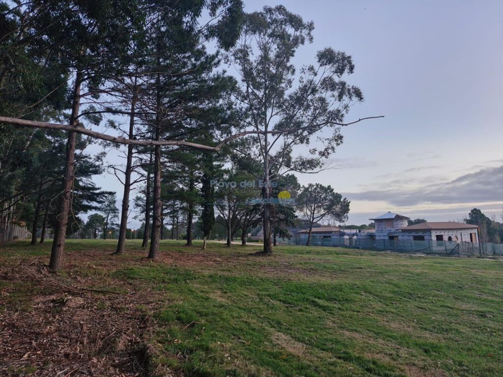TERRENO EN DON MIGUEL