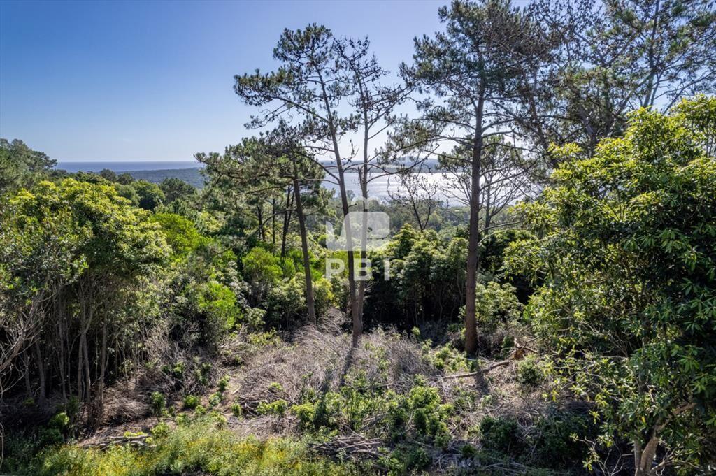 Terreno en venta en Las Cumbres - Ref : PBI14245