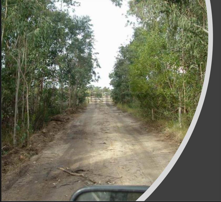 Exclusivo terreno de 117 HECTAREAS EN LA COSTA DE CANELON...