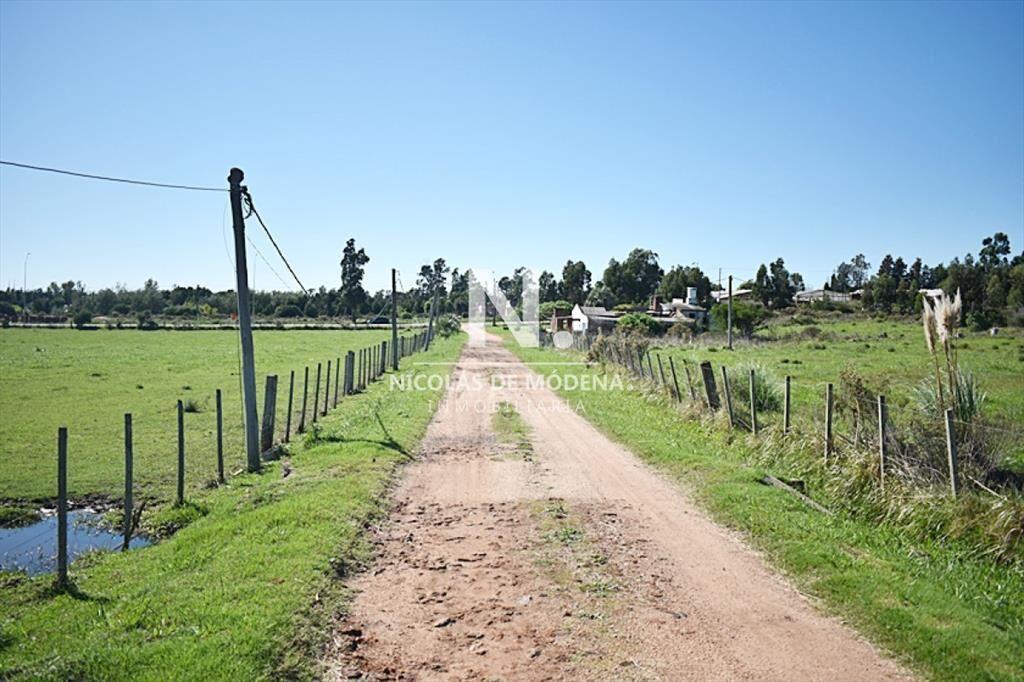 CHACRA SAN CARLOS RUTA 9