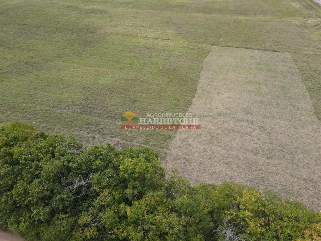 Terreno en Progreso, 360 m2 en Jardín de los (8)