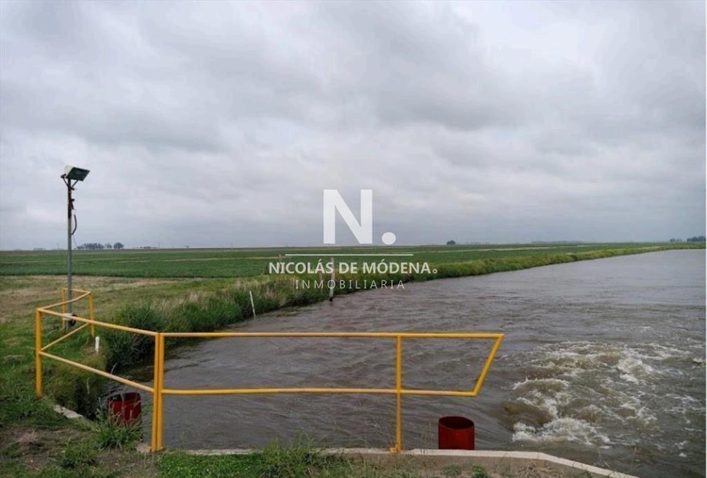 Vende Campo de 2 padrones en Treinta y tres.