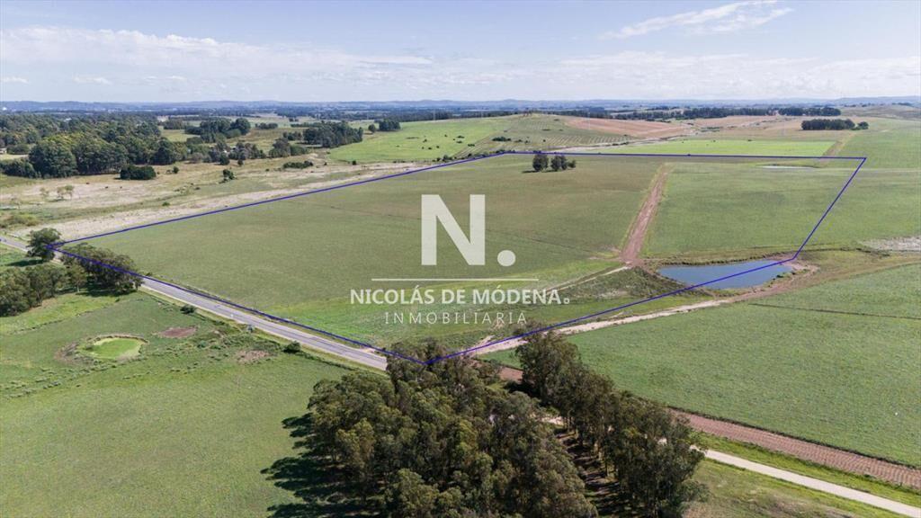 Campo de 42 Hectáreas con Alto Potencial de y -