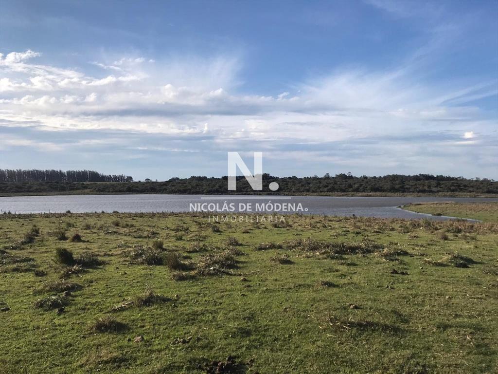 Campo en José Ignacio