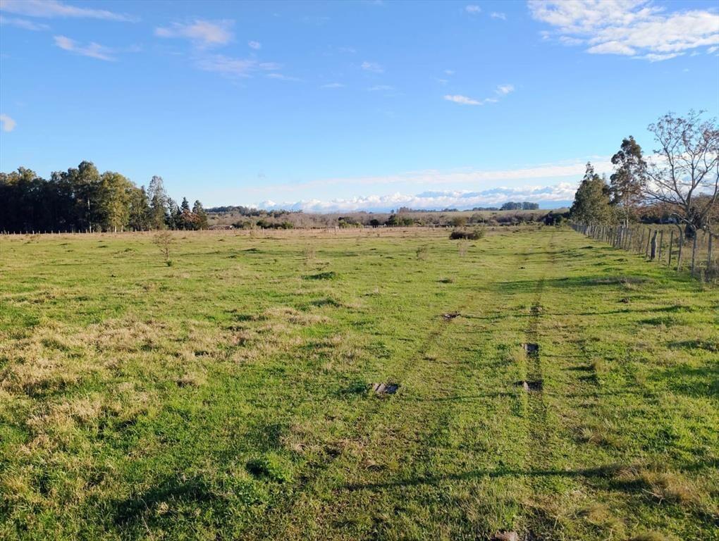 VENTA DE CHACRA 8 HAS. EN PAYSANDU