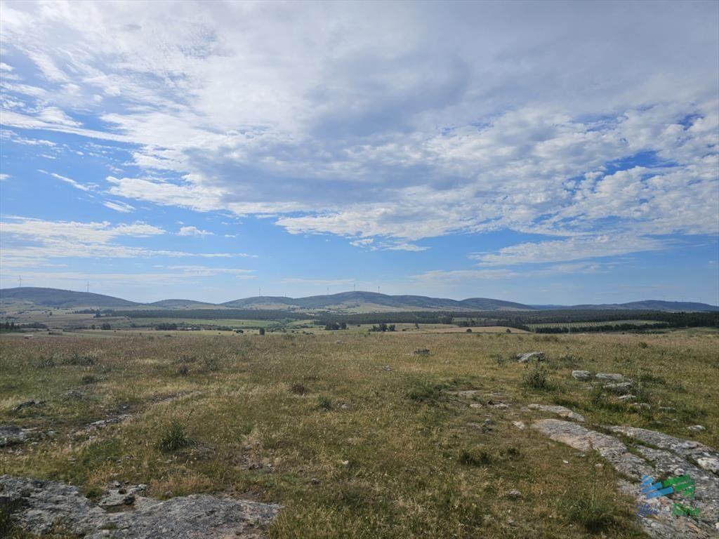 En venta chacra 3 hectareas, proxima ruta 39, a