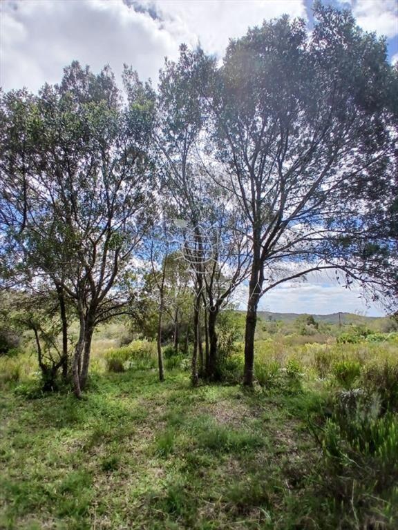 Chacra en VENTA en Aiguá