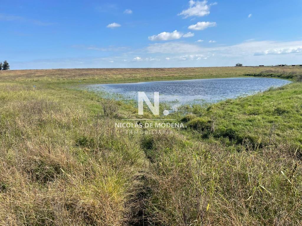 Campo en venta en hermosa zona