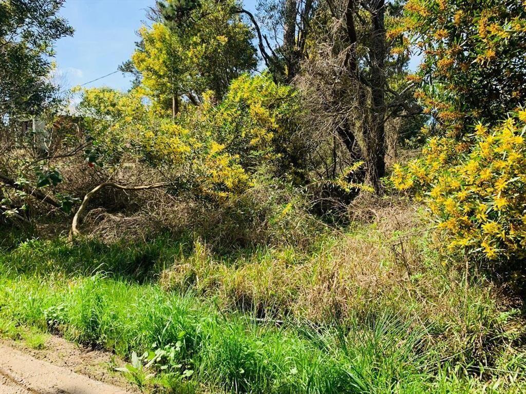 Venta Lote Rocha Santa Isabel de la Pedrera