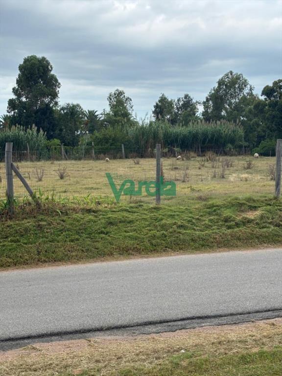 Alquiler terreno Interbalnearia de 4800 m2