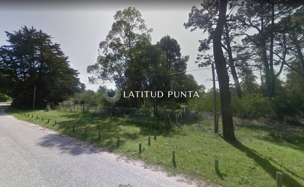 Terreno de gran superficie en zona habitada todo