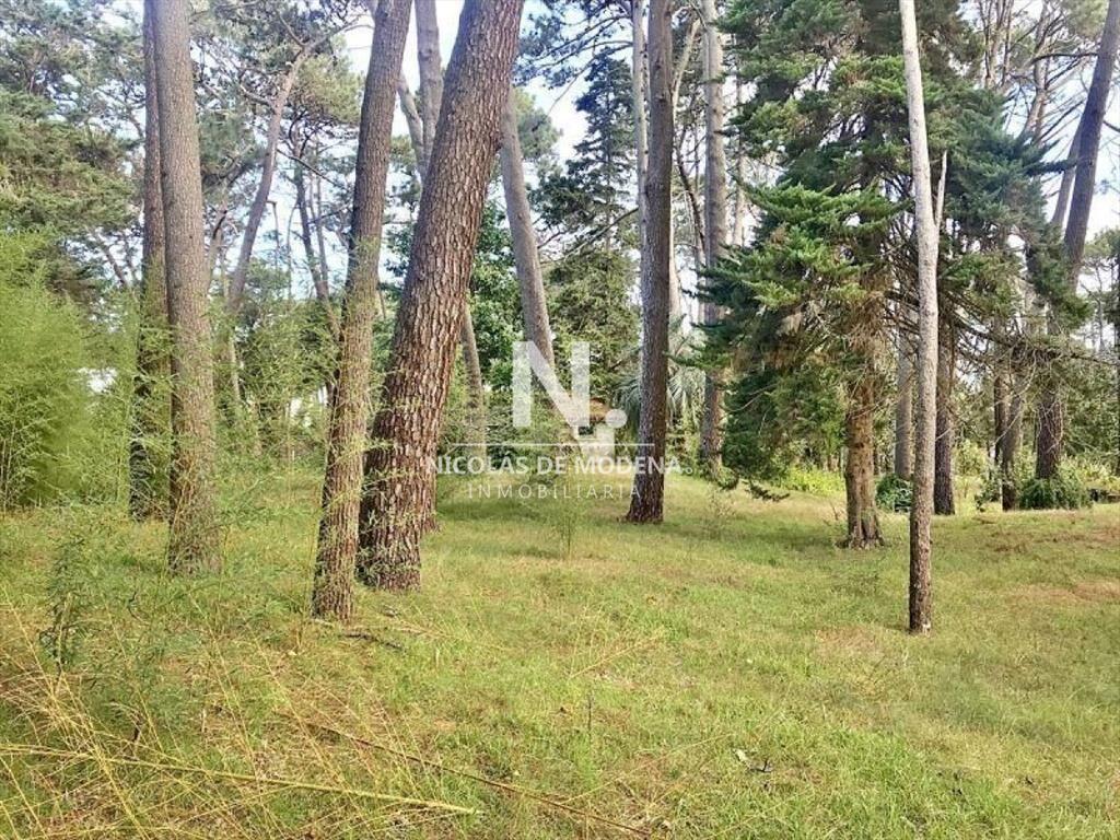 Terreno en venta Cantegril