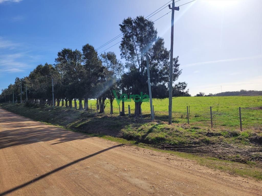 Venta de chacra en Atlantida
