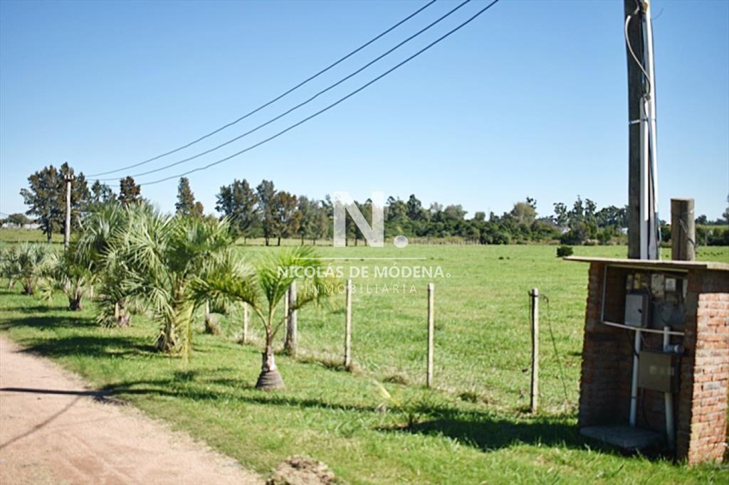 CHACRA SAN CARLOS RUTA 9