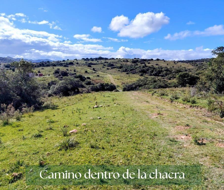 Chacra en Venta entre Ruta 12 y Ruta 60