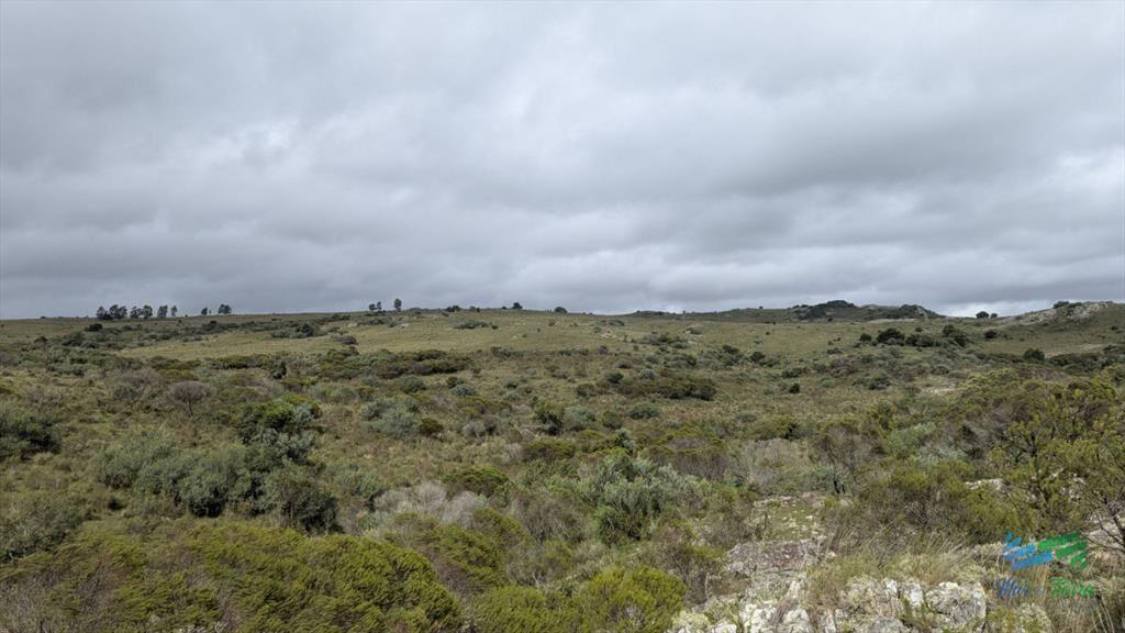 Venta de Chacra de 3 has en Valle San Nicolas de