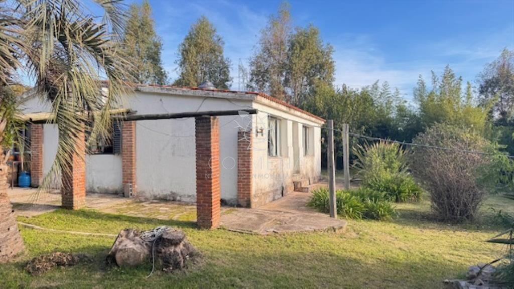 Campo de 4 has 1602 m2 muy cerca de ruta 12 y la