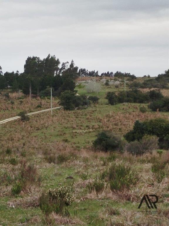 Gran Oportunidad 116 Ha En Garzón/maldondado, A 8 Km Del...