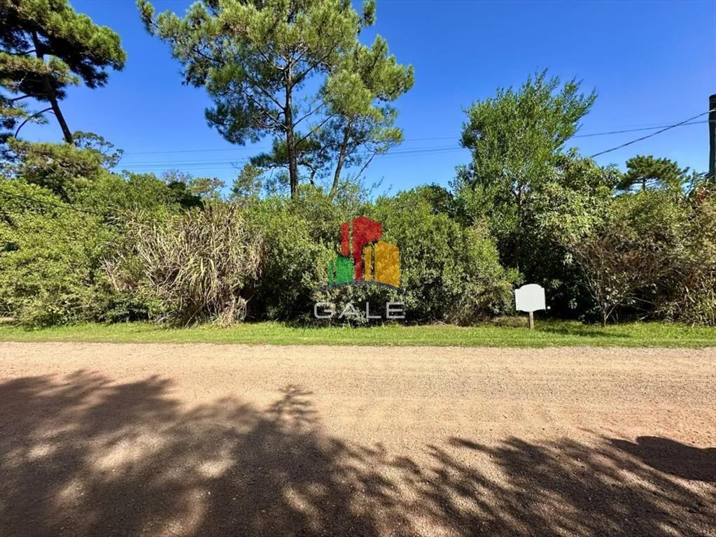 Terreno en Ocean Park, Punta Ballena