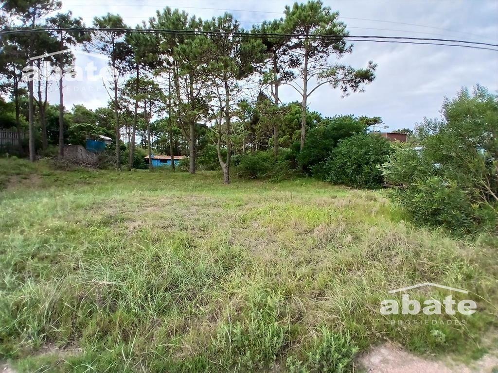 Venta Terreno en Punta del Diablo